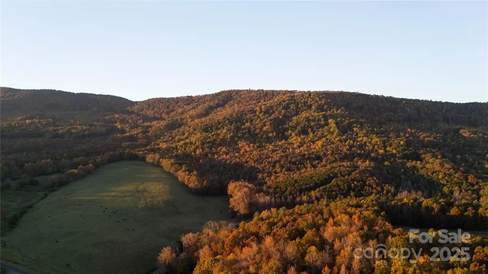 TBD Wards Gap Road Casar, NC 28020