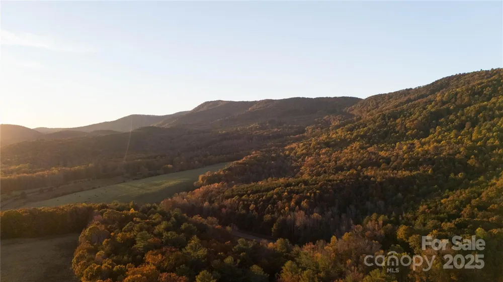 TBD Wards Gap Road Casar, NC 28020