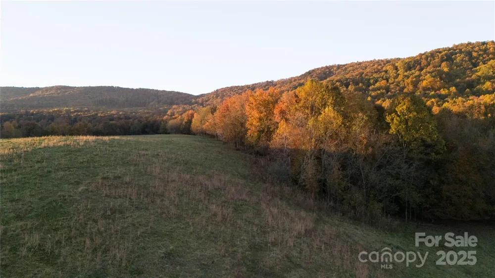 TBD Wards Gap Road Casar, NC 28020