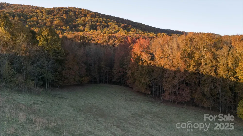 TBD Wards Gap Road Casar, NC 28020