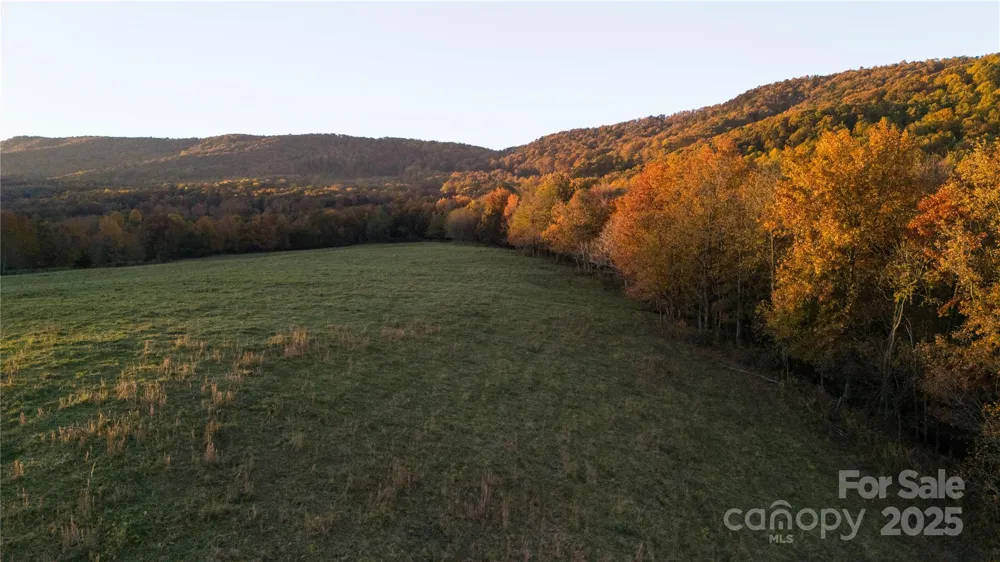 TBD Wards Gap Road Casar, NC 28020