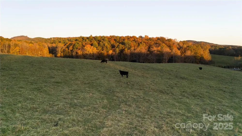 TBD Wards Gap Road Casar, NC 28020