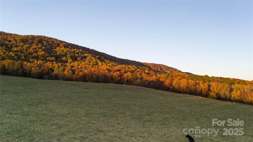 TBD Wards Gap Road Casar, NC 28020