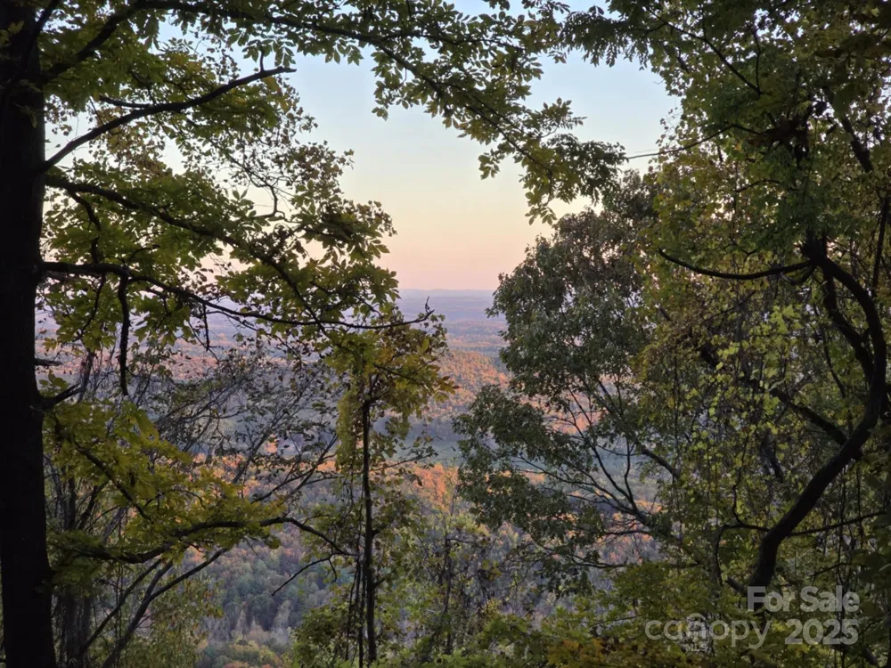TBD Wards Gap Road Casar, NC 28020