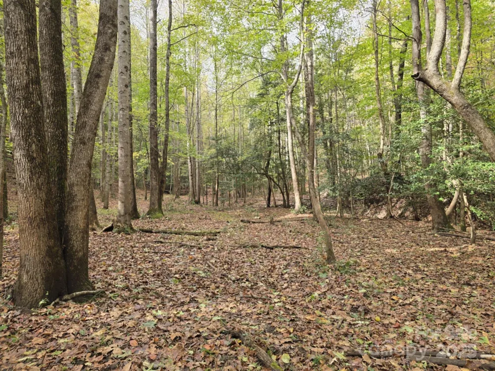 TBD Wards Gap Road Casar, NC 28020