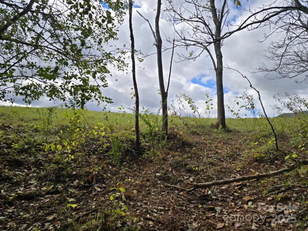 TBD Wards Gap Road Casar, NC 28020