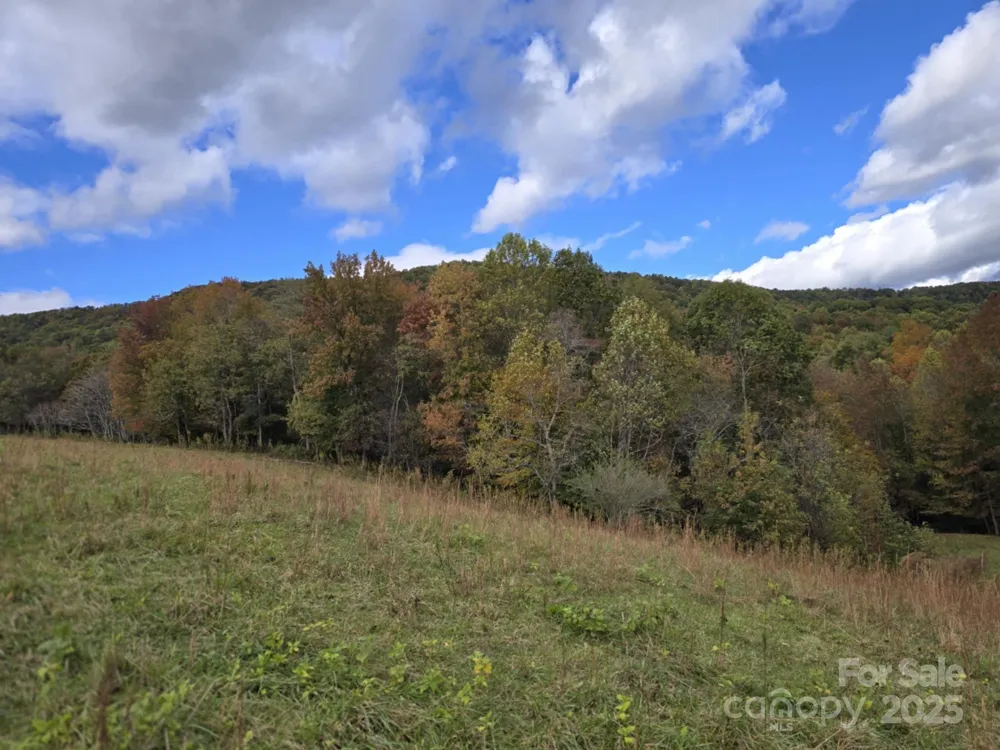 TBD Wards Gap Road Casar, NC 28020