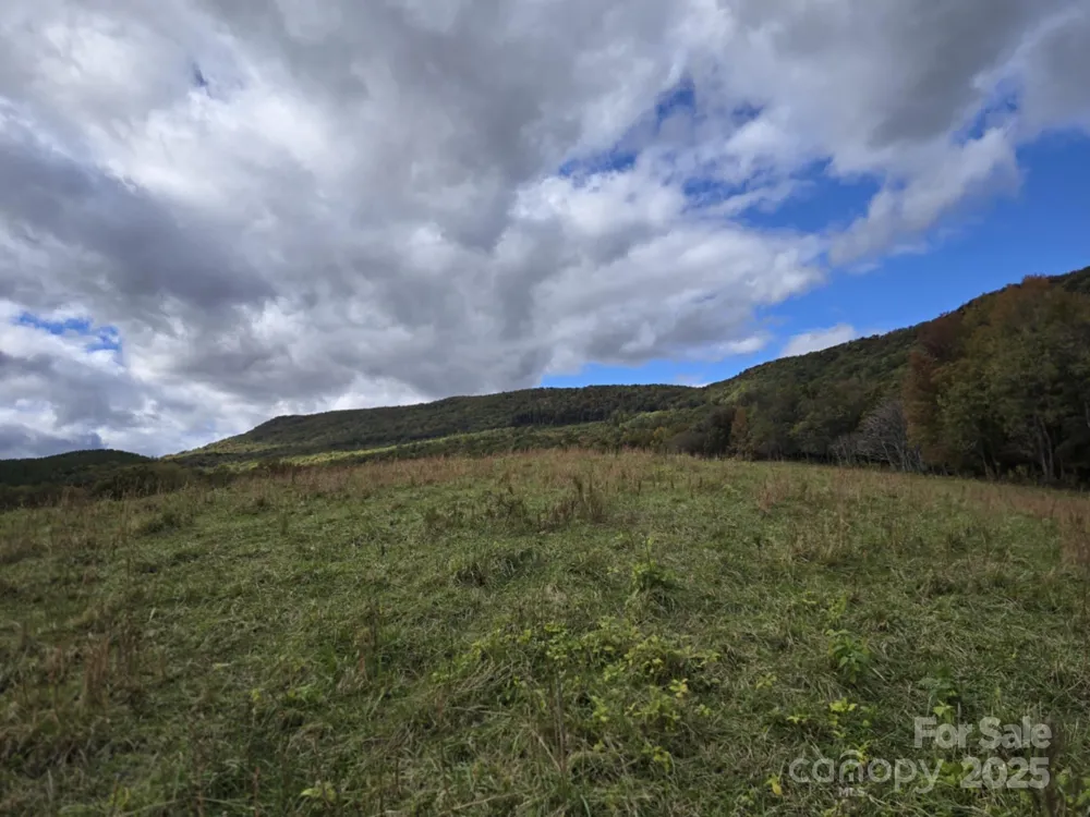 TBD Wards Gap Road Casar, NC 28020