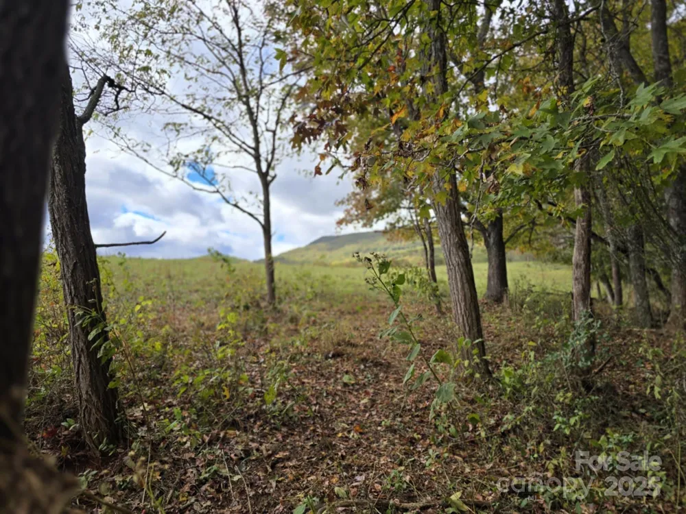 TBD Wards Gap Road Casar, NC 28020