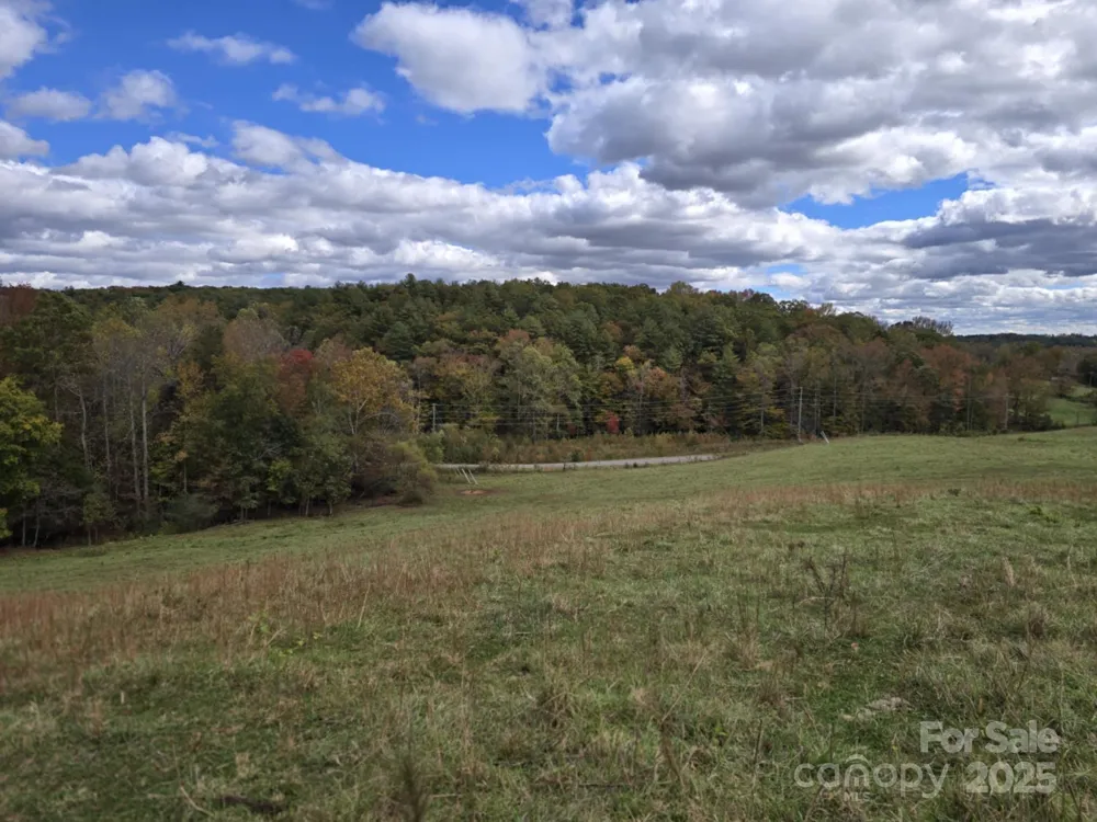 TBD Wards Gap Road Casar, NC 28020