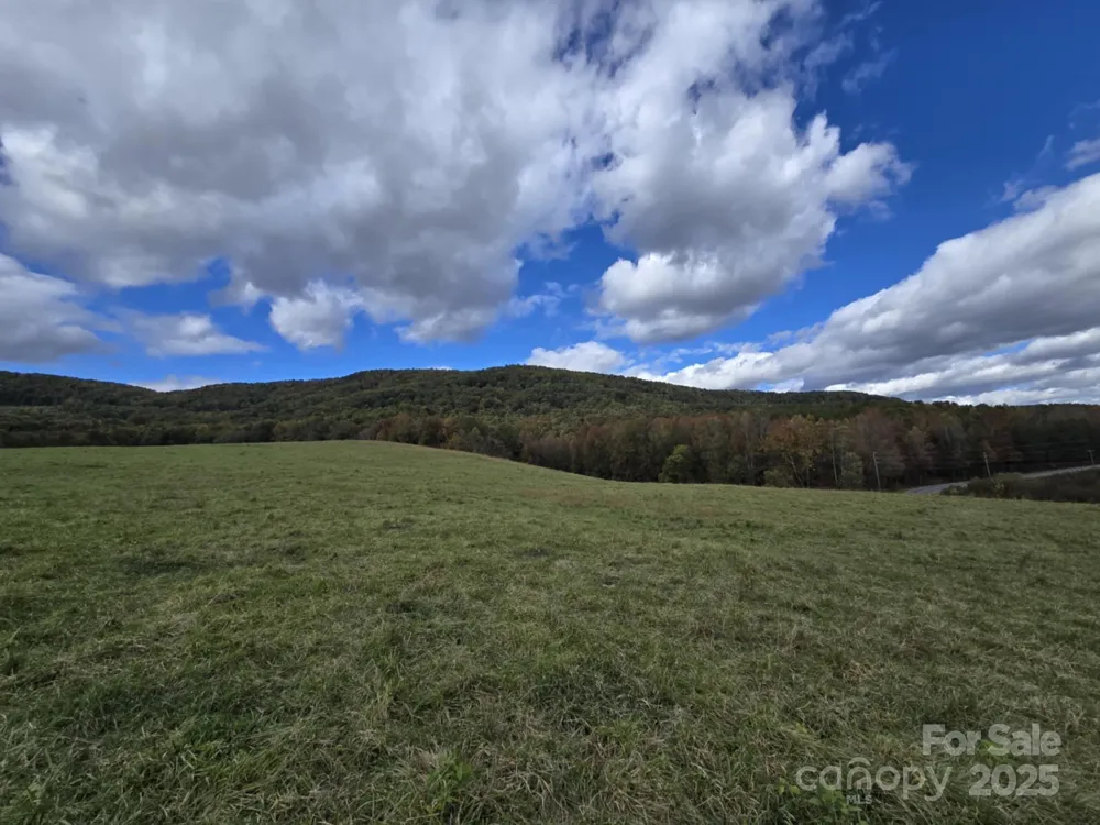 TBD Wards Gap Road Casar, NC 28020