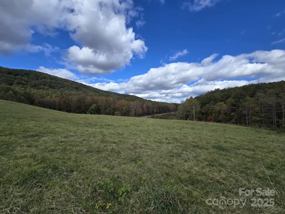TBD Wards Gap Road Casar, NC 28020