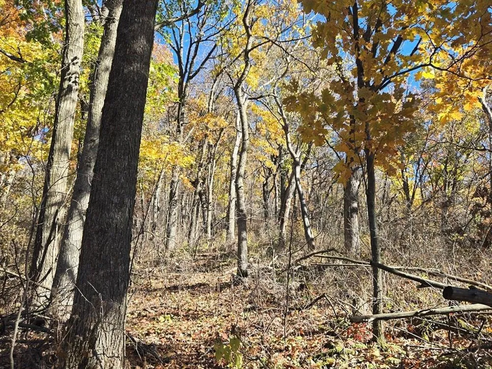 0 County Road KK Mondovi, WI 54610