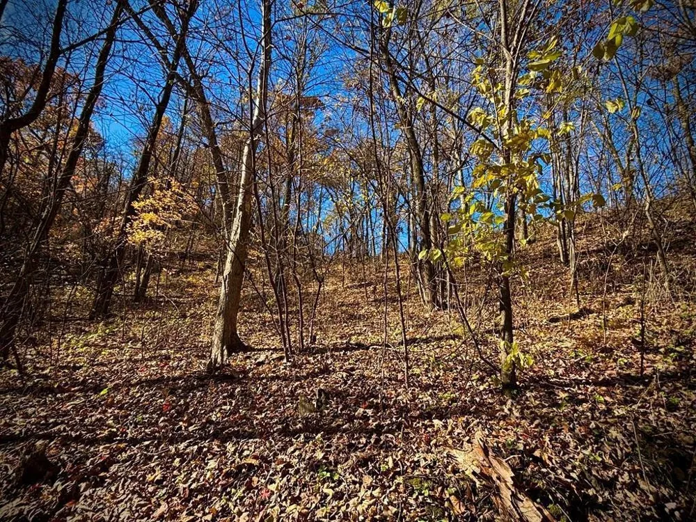0 County Road KK Mondovi, WI 54610