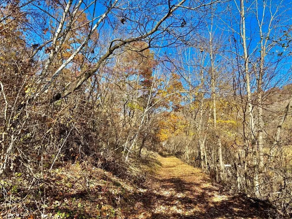 0 County Road KK Mondovi, WI 54610