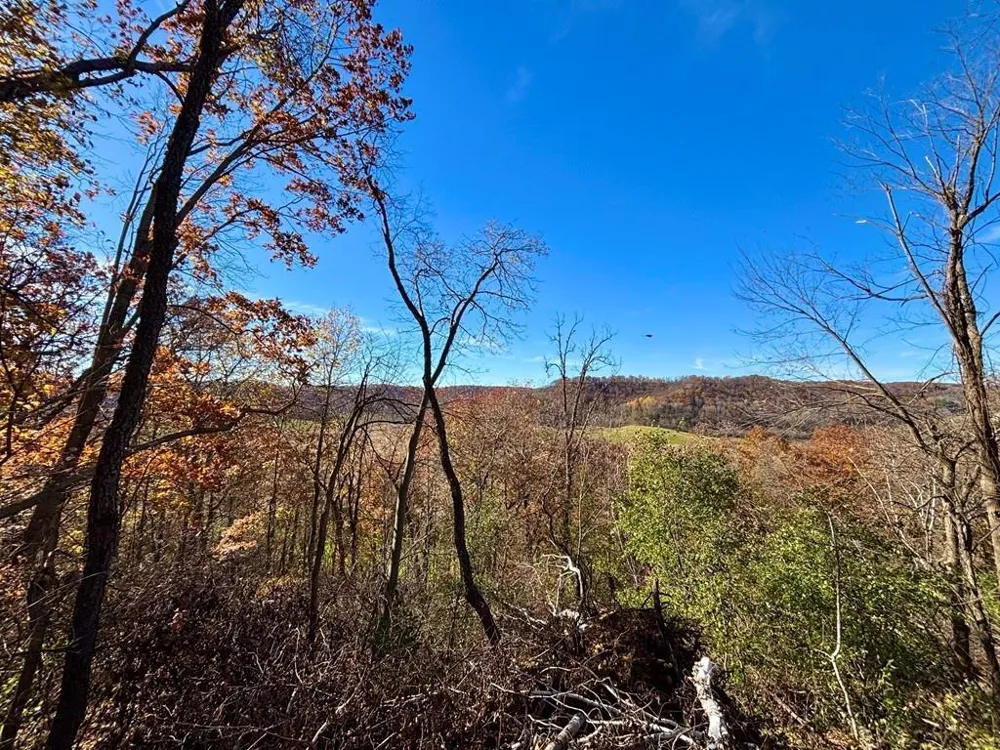 0 County Road KK Mondovi, WI 54610