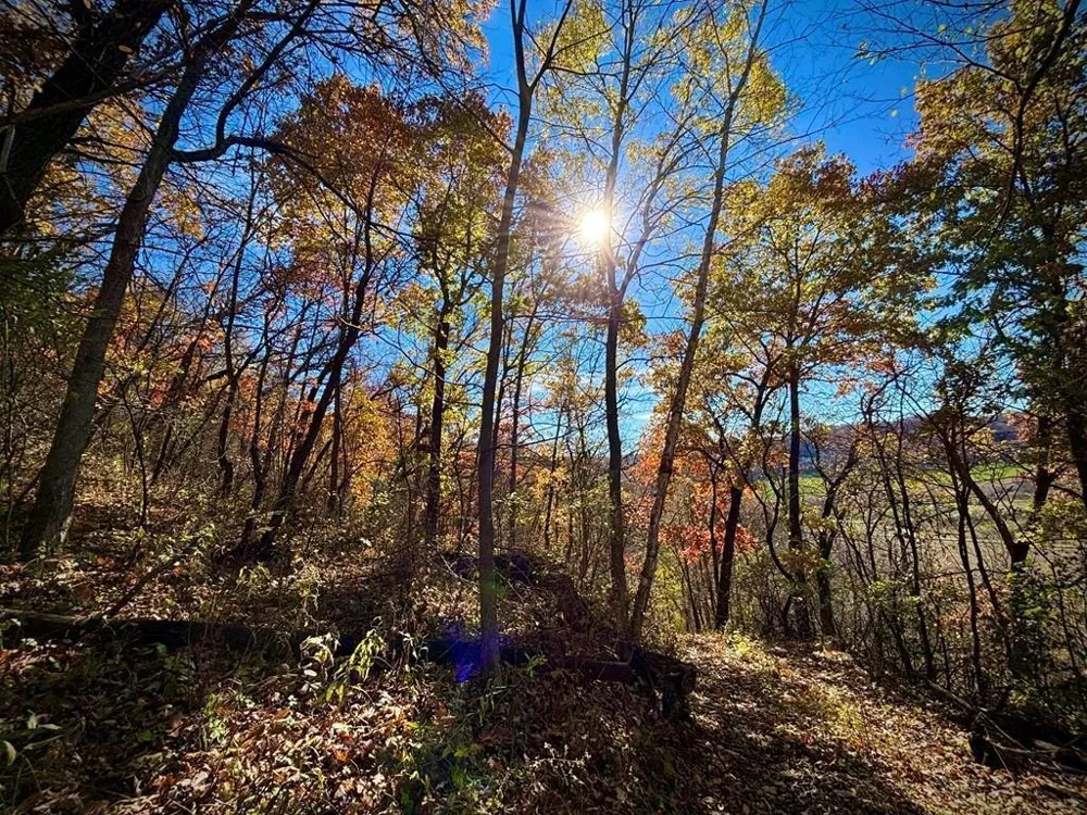 0 County Road KK Mondovi, WI 54610