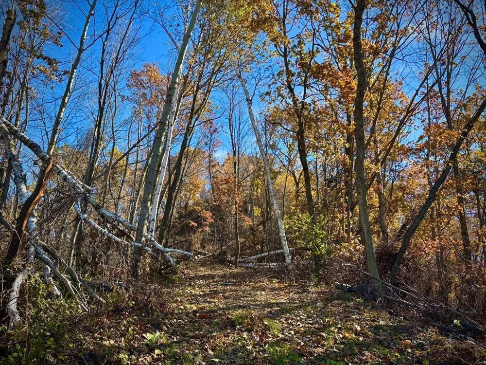 0 County Road KK Mondovi, WI 54610