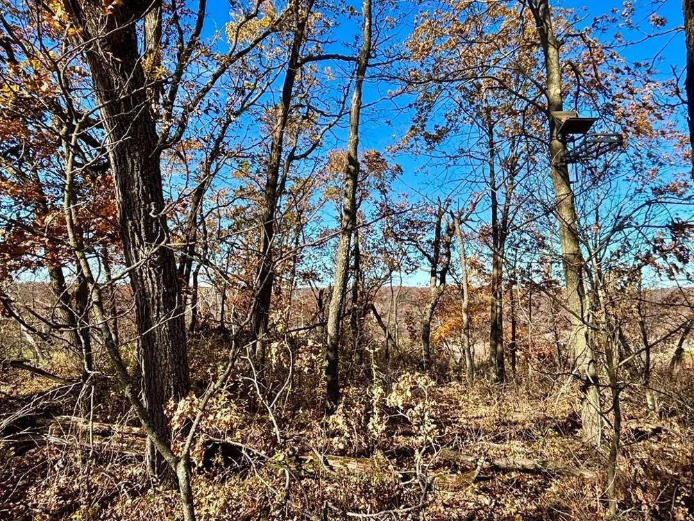 0 County Road KK Mondovi, WI 54610