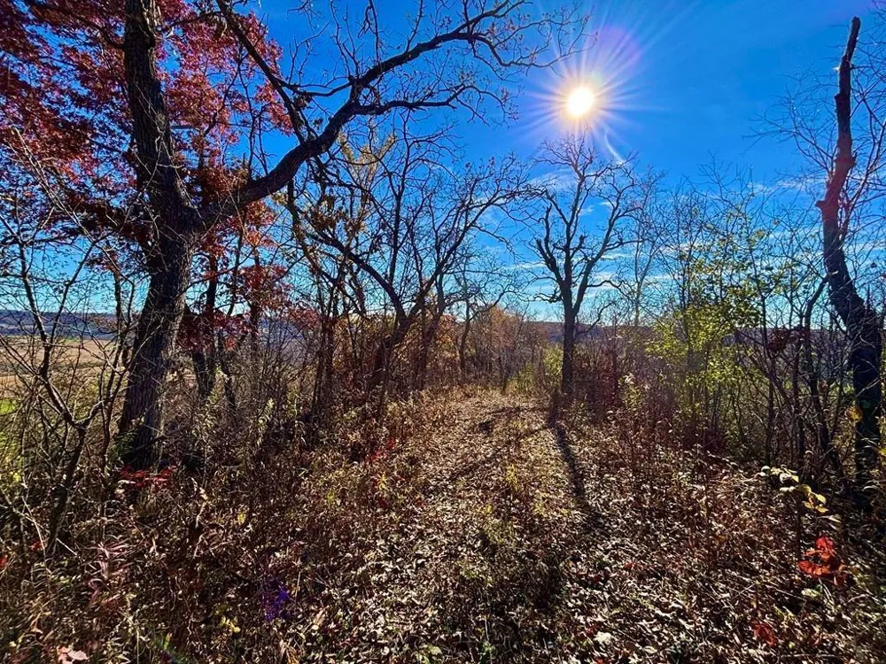0 County Road KK Mondovi, WI 54610