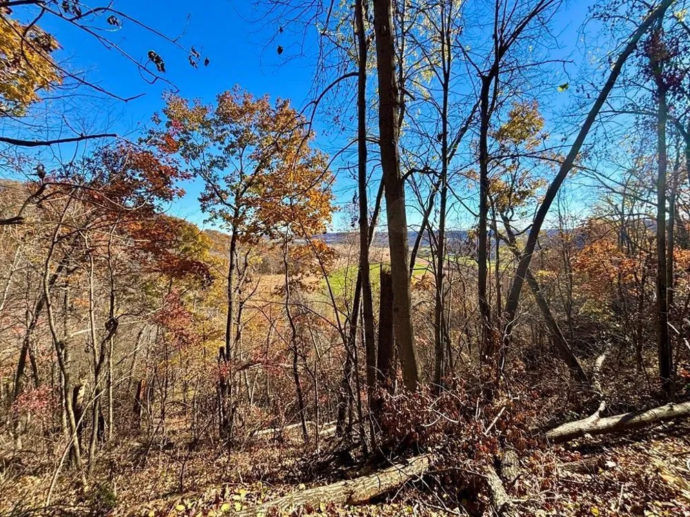 0 County Road KK Mondovi, WI 54610