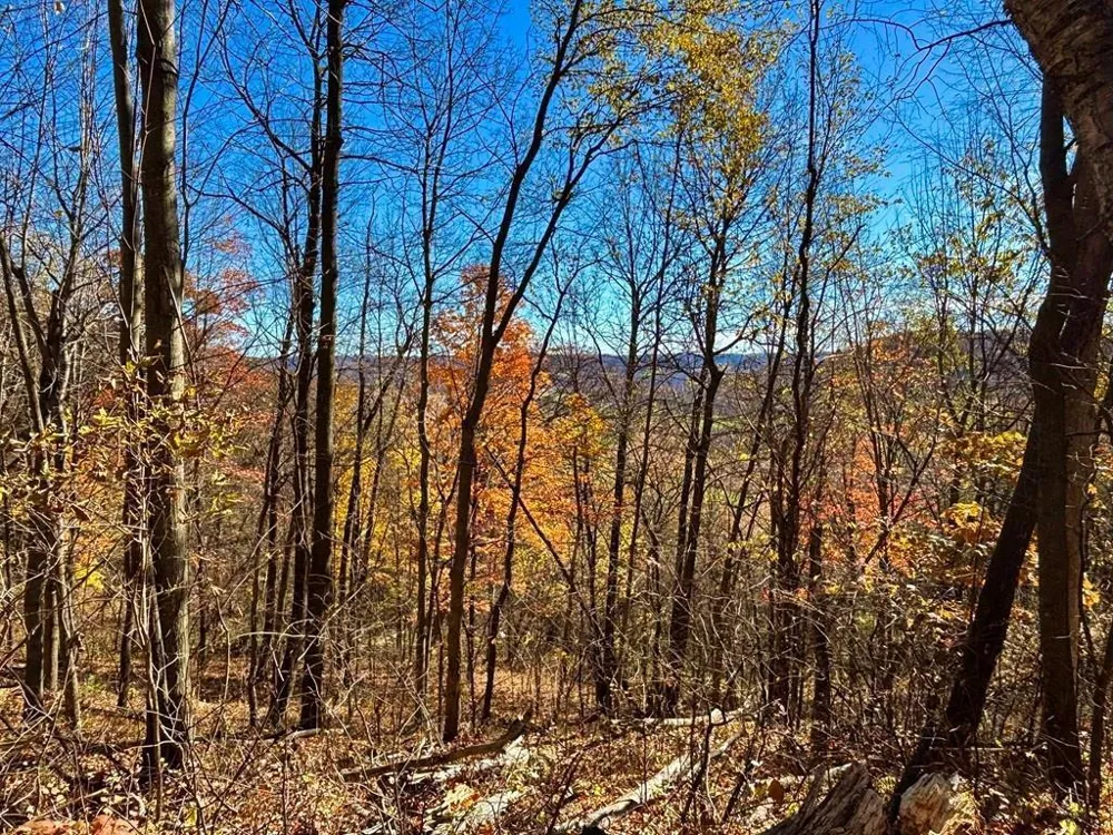0 County Road KK Mondovi, WI 54610