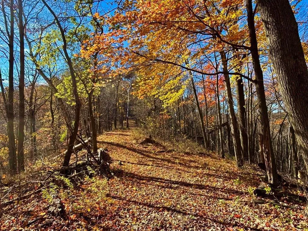 0 County Road KK Mondovi, WI 54610