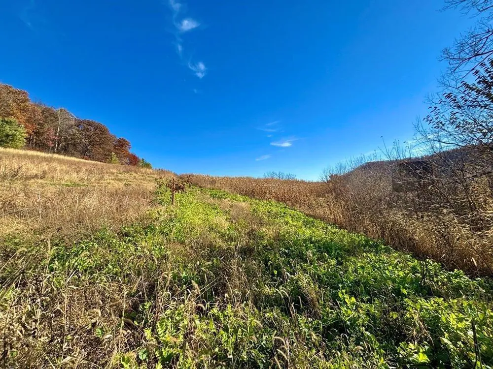0 County Road KK Mondovi, WI 54610