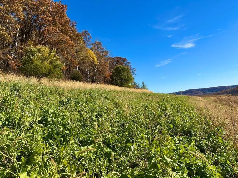 0 County Road KK Mondovi, WI 54610