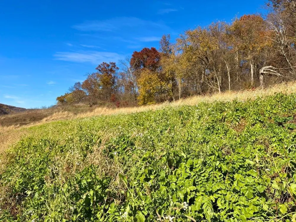 0 County Road KK Mondovi, WI 54610