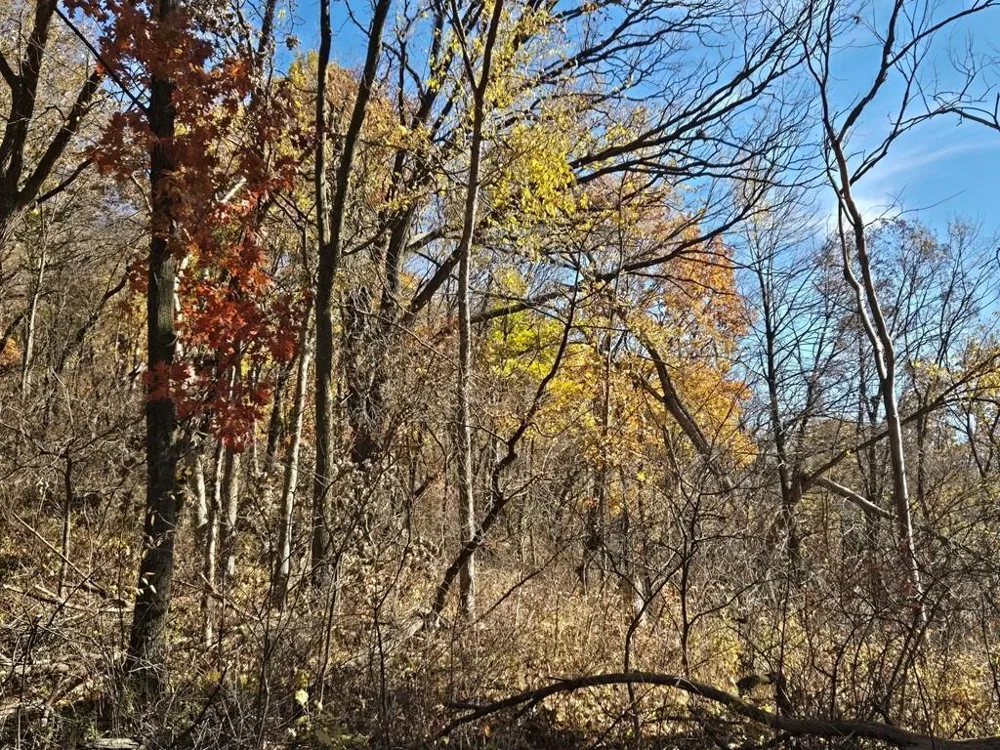 0 County Road KK Mondovi, WI 54610