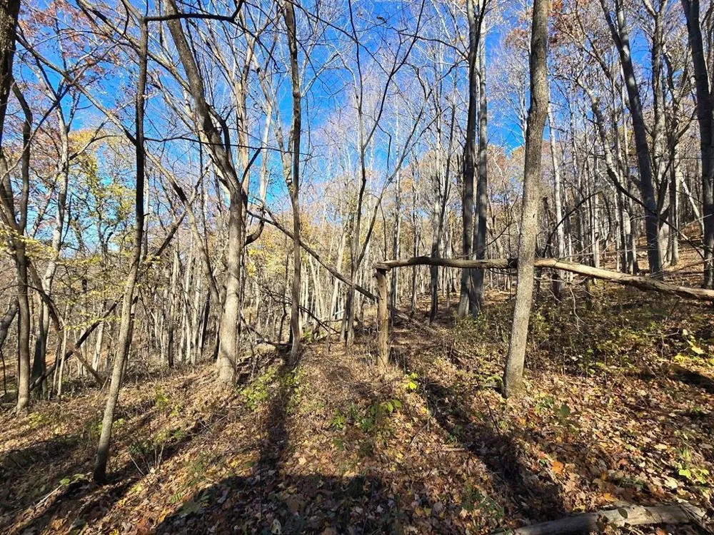 0 County Road KK Mondovi, WI 54610