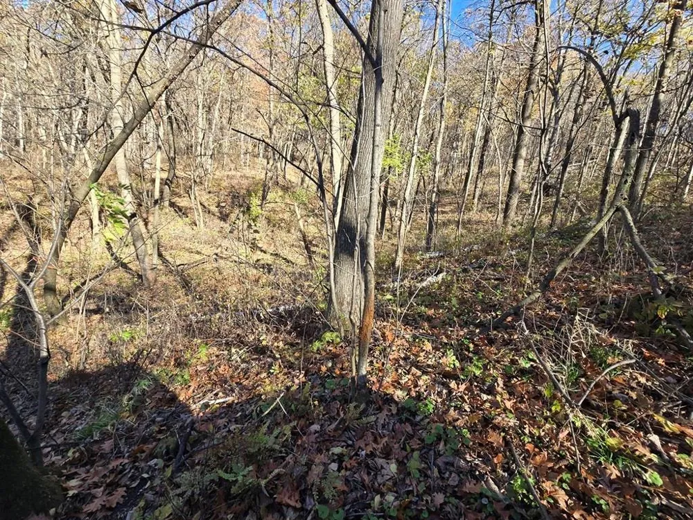 0 County Road KK Mondovi, WI 54610
