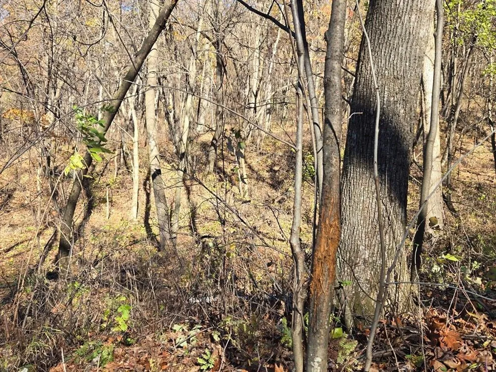 0 County Road KK Mondovi, WI 54610