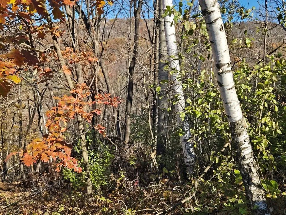 0 County Road KK Mondovi, WI 54610