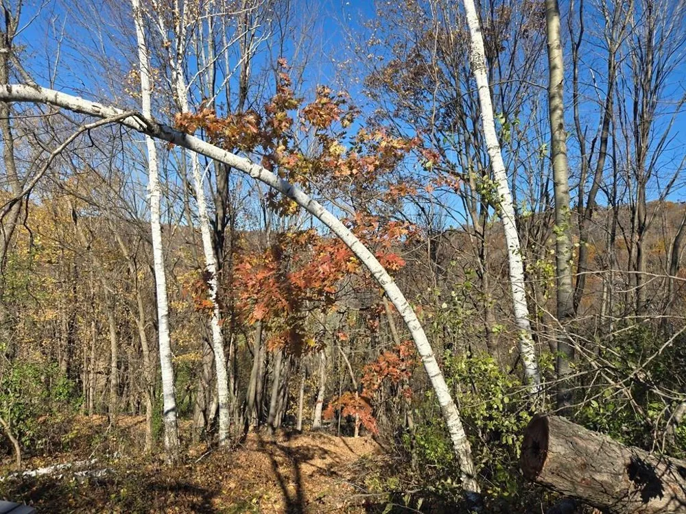 0 County Road KK Mondovi, WI 54610