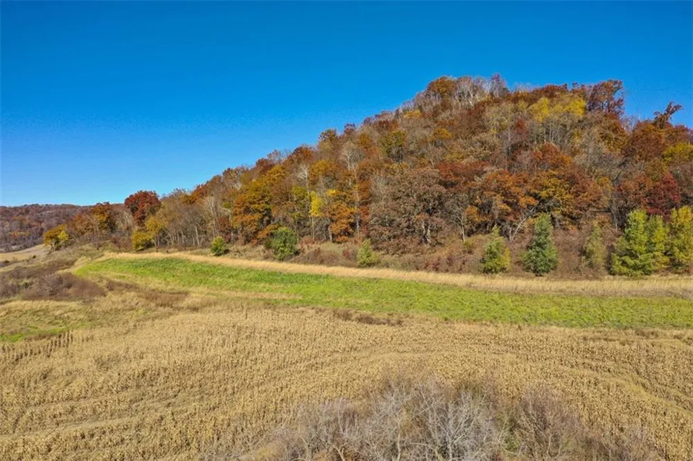 0 County Road KK Mondovi, WI 54610