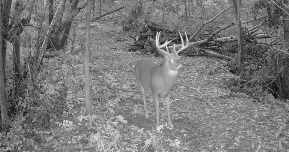 0 County Road KK Mondovi, WI 54610
