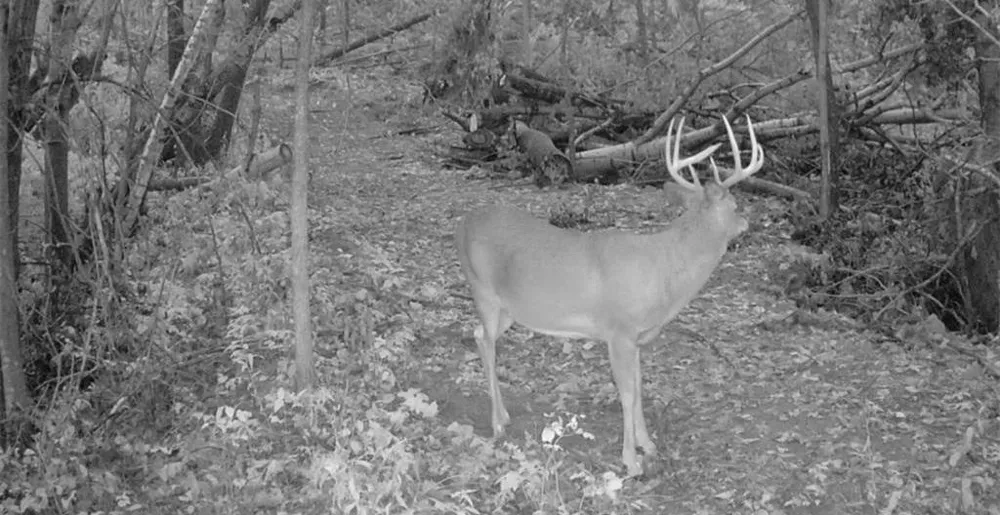 0 County Road KK Mondovi, WI 54610