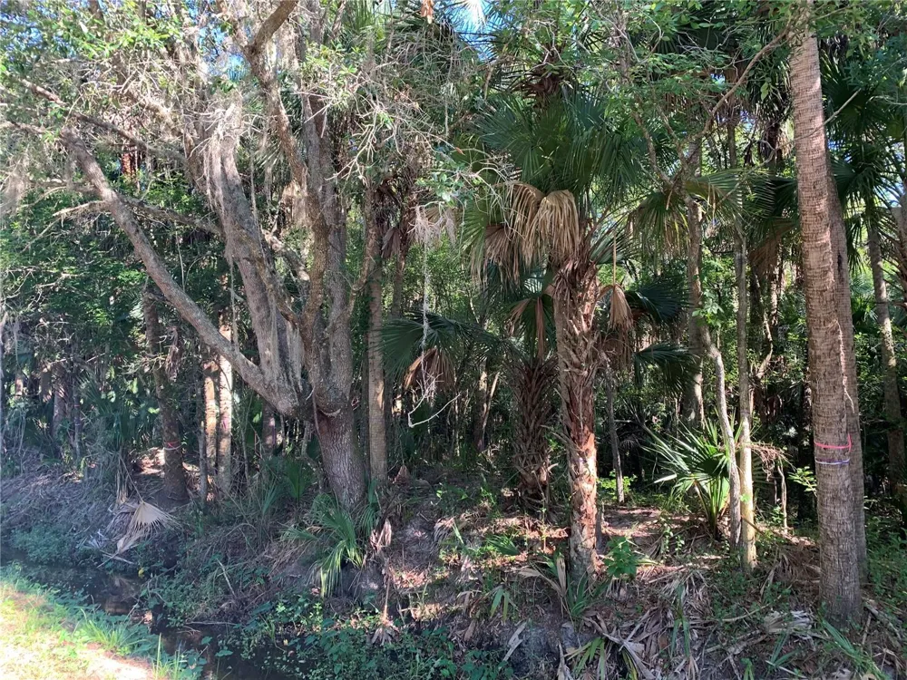 1310 PALM WAY Sanford, FL 32773