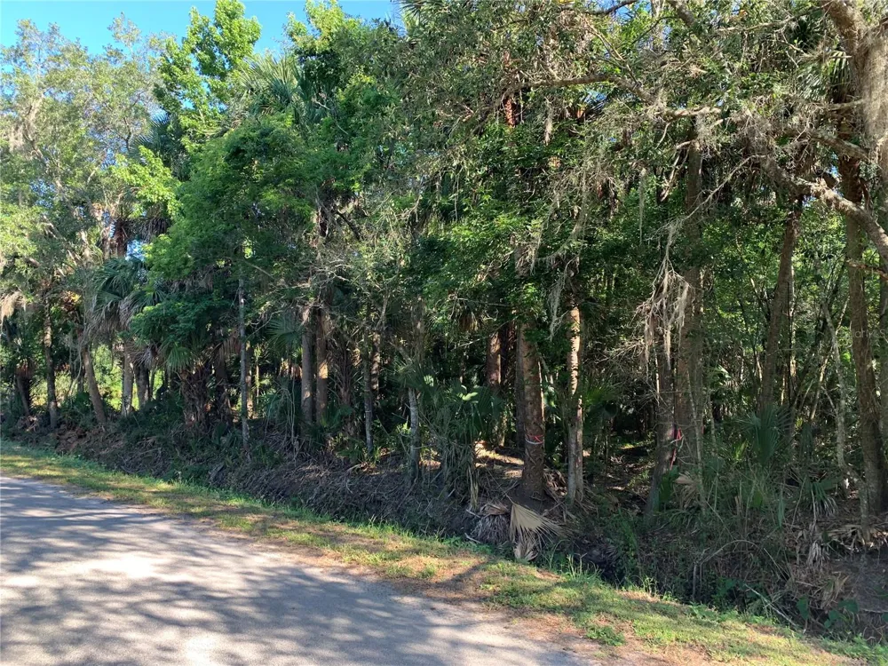 1310 PALM WAY Sanford, FL 32773
