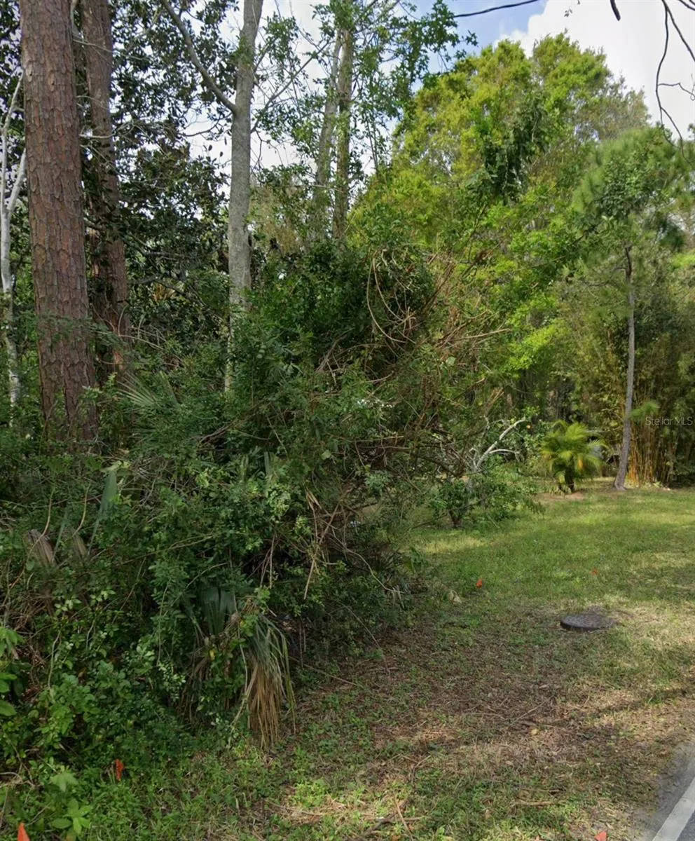 960 MCDONALD Port Orange, FL 32129
