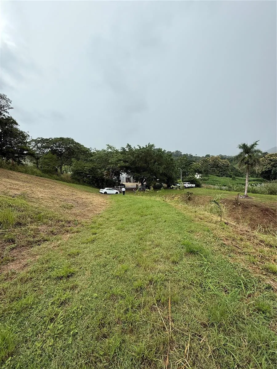 ROUTE 159 Corozal, PR 00783
