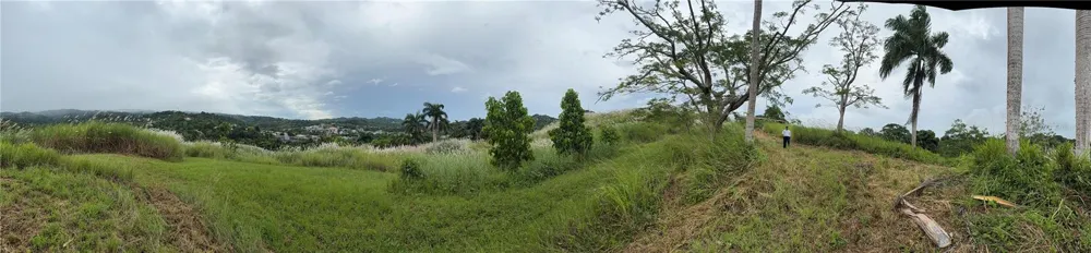 ROUTE 159 Corozal, PR 00783