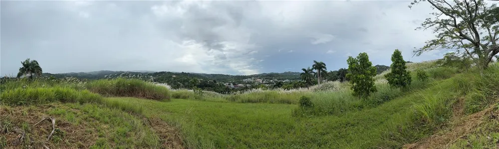 ROUTE 159 Corozal, PR 00783