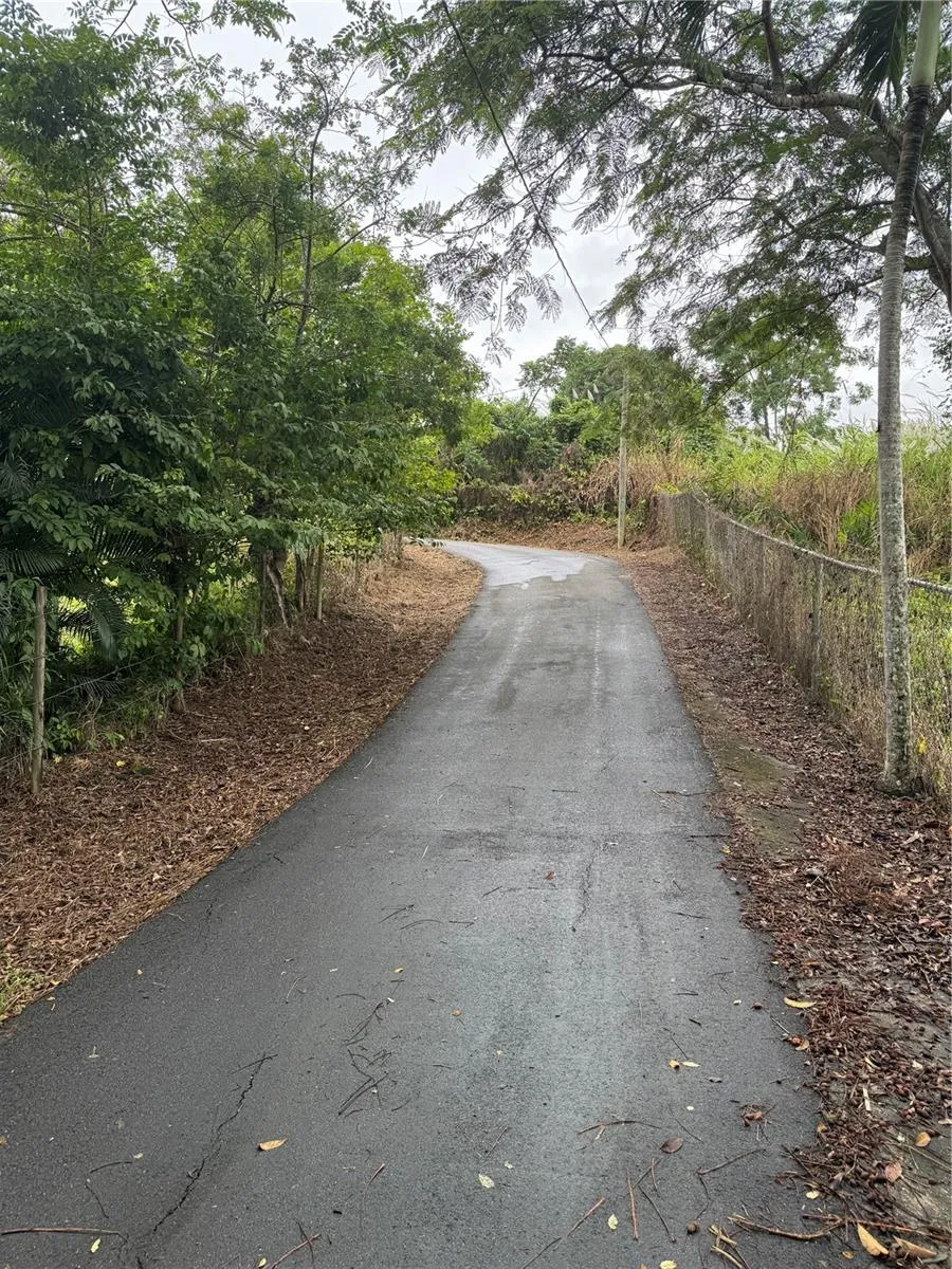 ROUTE 159 Corozal, PR 00783