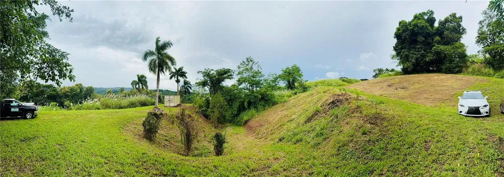 ROUTE 159 Corozal, PR 00783