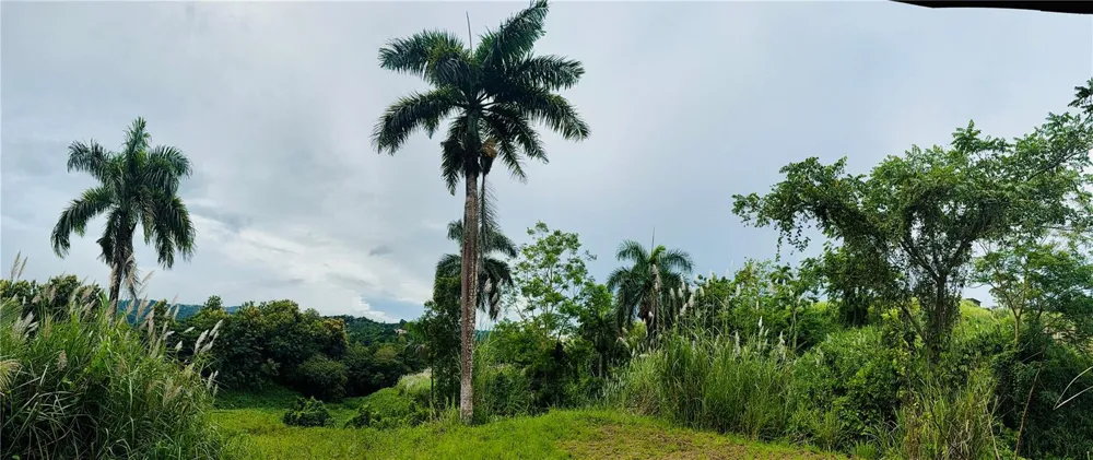 ROUTE 159 Corozal, PR 00783