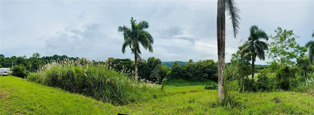 ROUTE 159 Corozal, PR 00783