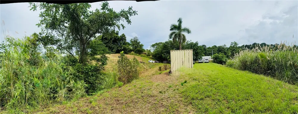 ROUTE 159 Corozal, PR 00783